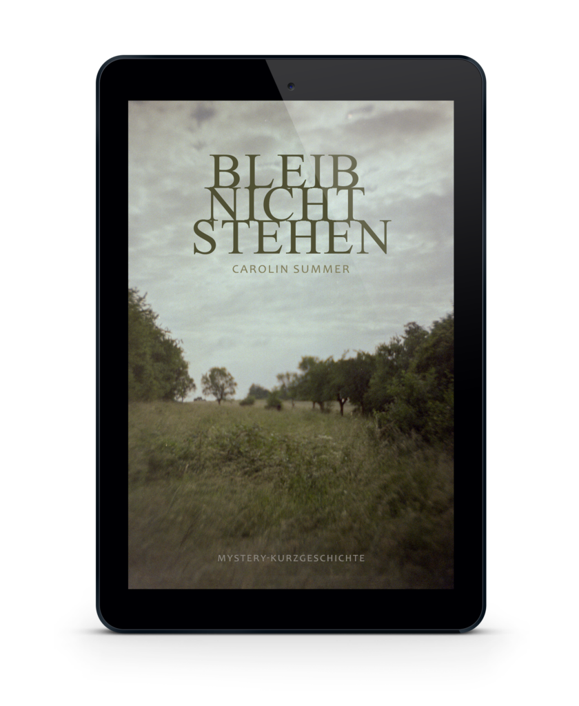 E-Book von "Bleib nicht stehen" Das Cover ist minimalistisch gehalten, das Bild eine Analog-Aufnahme einer Wald-Wiesen-Landschaft. 